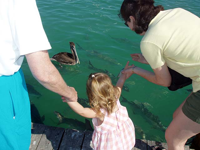 Florida Keys - 2005