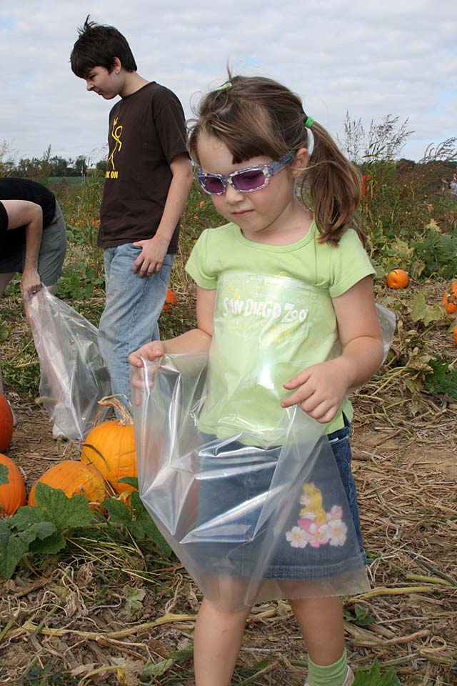 Pumpkin Farm 2007