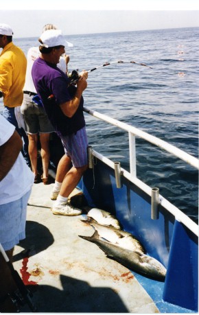 Bill Catching a Blue!