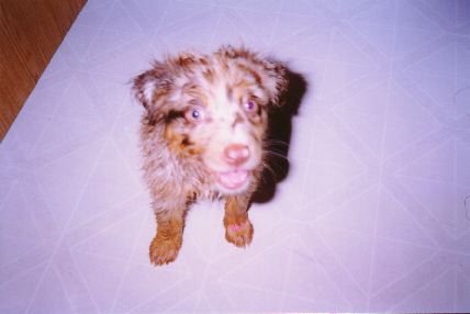 First Bath