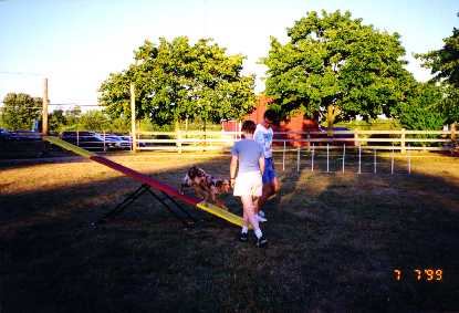 Syndey on the Seesaw!