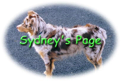 Sydney's Page